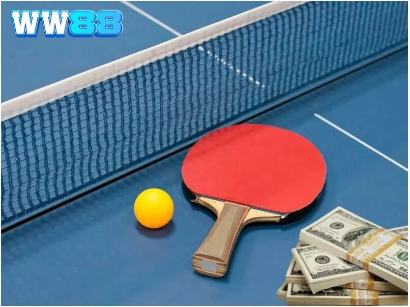 Tìm hiểu về cược bóng bàn
